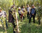 کارگاه آموزشی - توجیهی زراعت چوب در شهرستان نمین برگزار شد