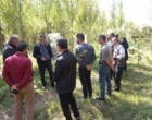کارگاه آموزشی - توجیهی زراعت چوب در شهرستان نمین برگزار شد