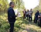 کارگاه آموزشی - توجیهی زراعت چوب در شهرستان نمین برگزار شد