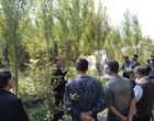 کارگاه آموزشی - توجیهی زراعت چوب در شهرستان نمین برگزار شد