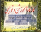 کارگاه آموزشی - توجیهی زراعت چوب در شهرستان نمین برگزار شد