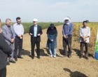 یازدهمین کاروان ترویج بهره‌وری الگوی کشت ملی در پارس‌آباد مغان به راه افتاد