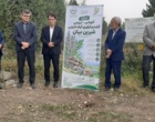 کشت و توسعه شیرین‌بیان؛ راهکاری برای کاهش فشار بر رویشگاه‌های طبیعی و افزایش رونق اقتصاد روستایی