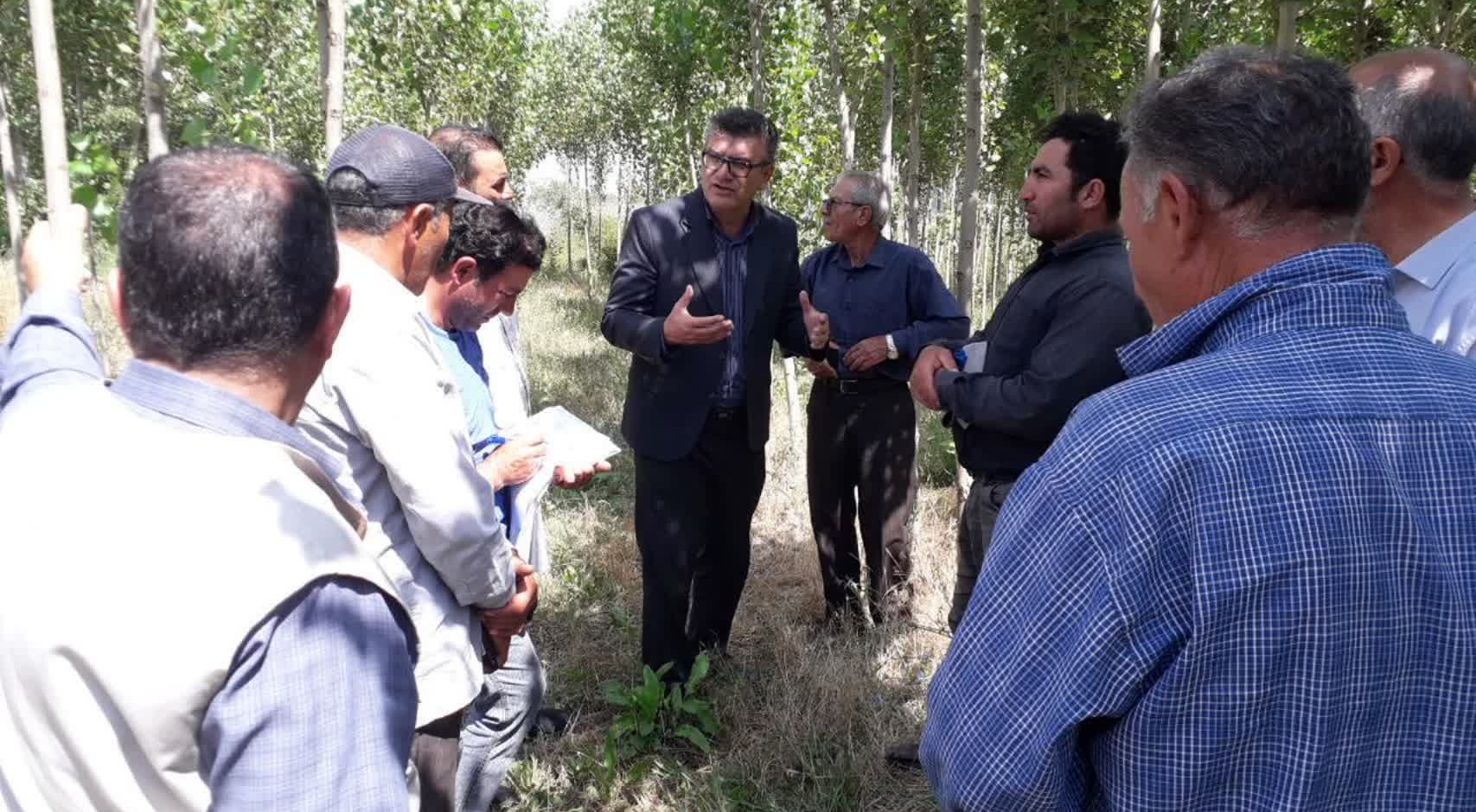 کارگاه آموزشی «زراعت چوب» در اردبیل برگزار شد/ تأکید بر کاهش فشار بر جنگل‌های طبیعی