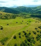 نتایج پایش جنگل فندقلو بر ضرورت حفاظت از این ذخیره‌گاه ملی تأکید دارد