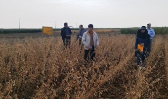 گامی برای خودکفایی؛ ثبت ارقام هسته‌ای سویا برای کاهش وابستگی به واردات