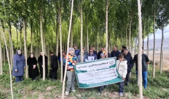روز مزرعه سایت الگویی صنوبر در اردبیل برگزار شد/ گامی جهت توسعه زراعت چوب و کاهش فشار بر جنگل‌ها
