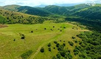 نتایج پایش جنگل فندقلو بر ضرورت حفاظت از این ذخیره‌گاه ملی تأکید دارد