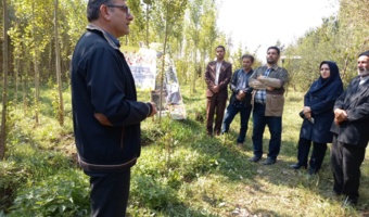 کارگاه آموزشی - توجیهی زراعت چوب در شهرستان نمین برگزار شد