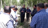 کارگاه آموزشی «زراعت چوب» در اردبیل برگزار شد/ تأکید بر کاهش فشار بر جنگل‌های طبیعی
