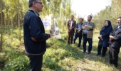 کارگاه آموزشی - توجیهی زراعت چوب در شهرستان نمین برگزار شد