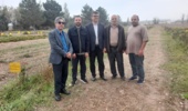توسعه کشت گیاهان دارویی؛ گامی کلیدی در اصلاح الگوی کشت و اشتغالزایی اردبیل