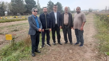 توسعه کشت گیاهان دارویی؛ گامی کلیدی در اصلاح الگوی کشت و اشتغال‌زایی اردبیل