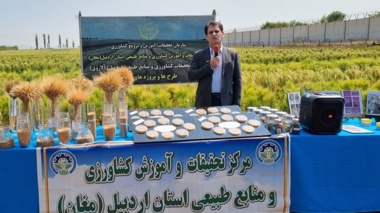 از صرفه‌جویی ۲ میلیارد دلاری تا تولید ۹۸ درصد بذرهای داخلی