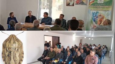 تغییرات اقلیمی و تأثیر آن بر احتمال افزایش جمعیت سن گندم