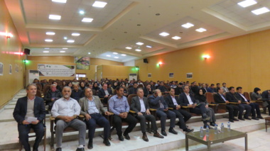 تهدیدهای نامرئی؛ بیماری‌های خاکزاد مزارع گندم و جو