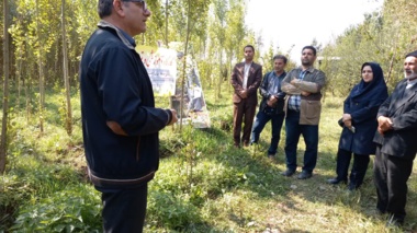 کارگاه آموزشی - توجیهی زراعت چوب در شهرستان نمین برگزار شد
