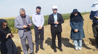 یازدهمین کاروان ترویج بهره‌وری الگوی کشت ملی در پارس‌آباد مغان به راه افتاد